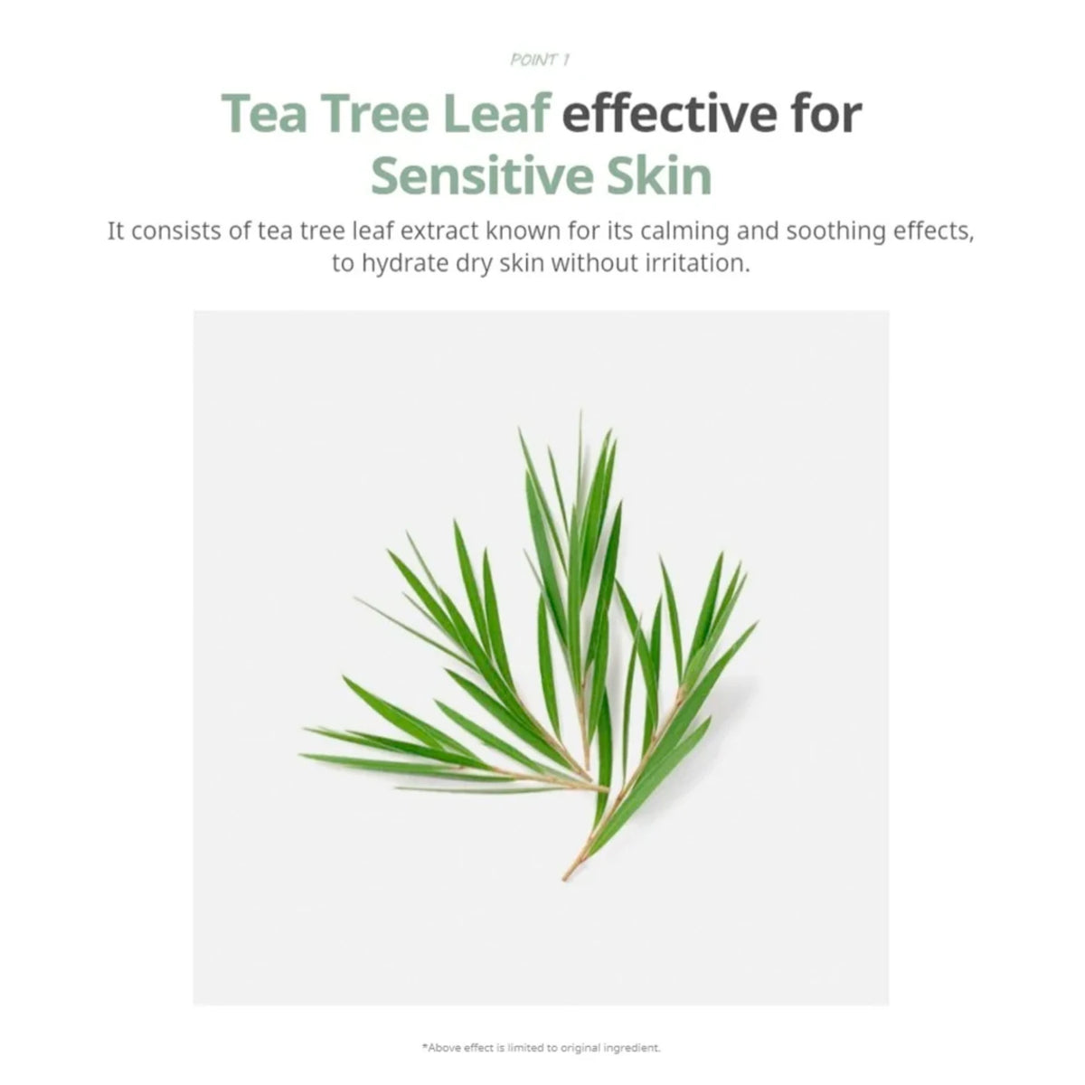Tea Tree Biome Calming Cream