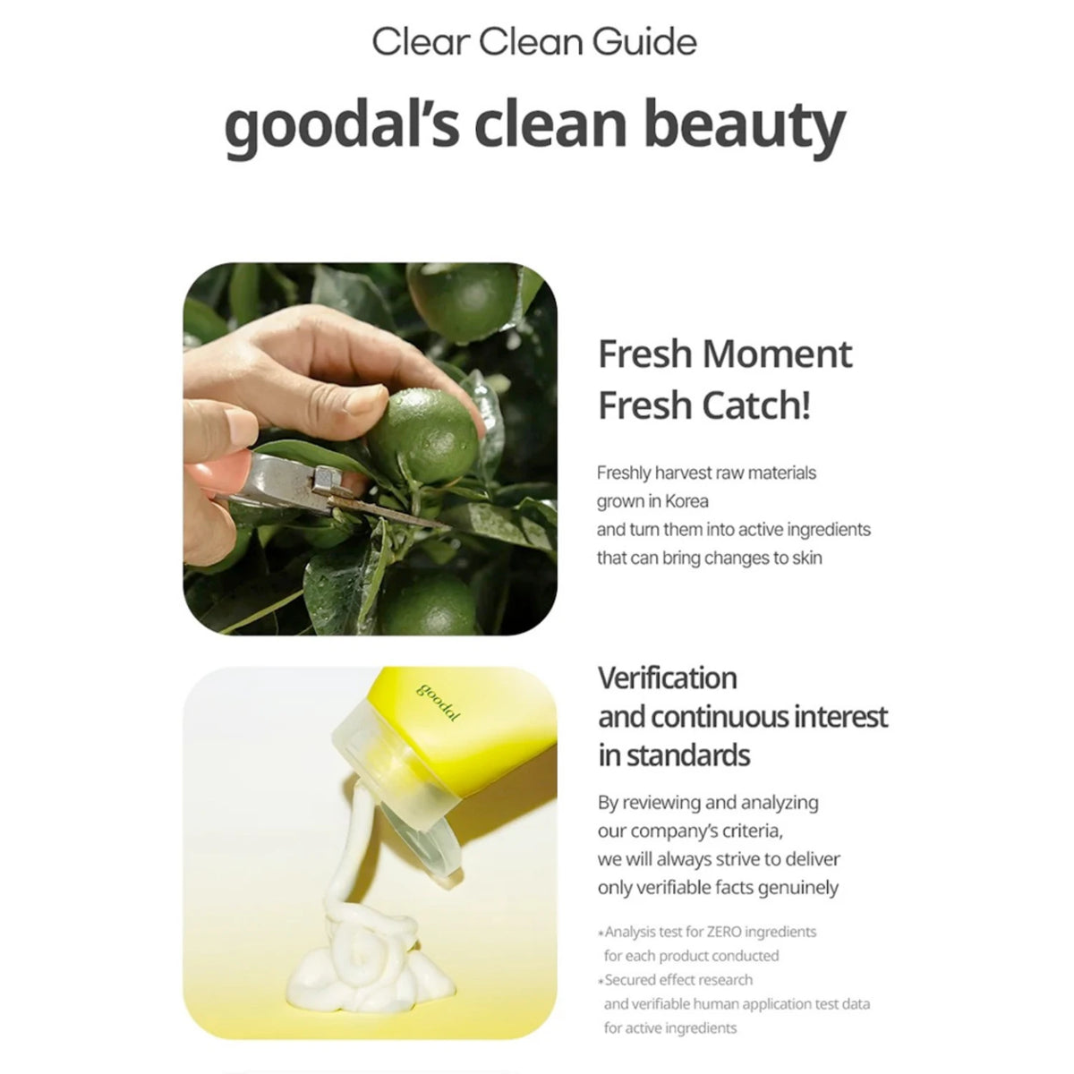 Green Tangerine Vita C Cleansing Foam