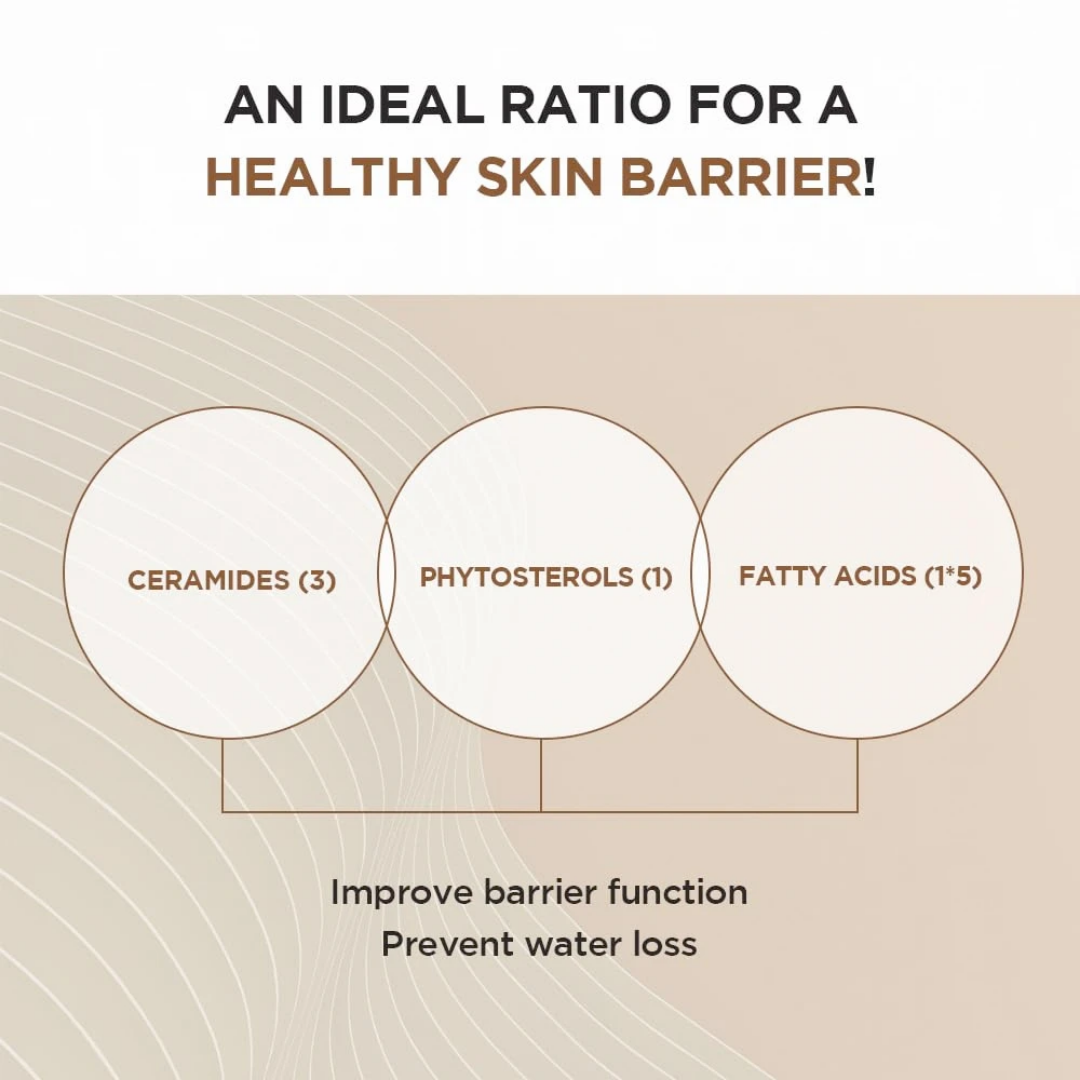 Madagascar Centella Probio-Cica Intensive Ampoule