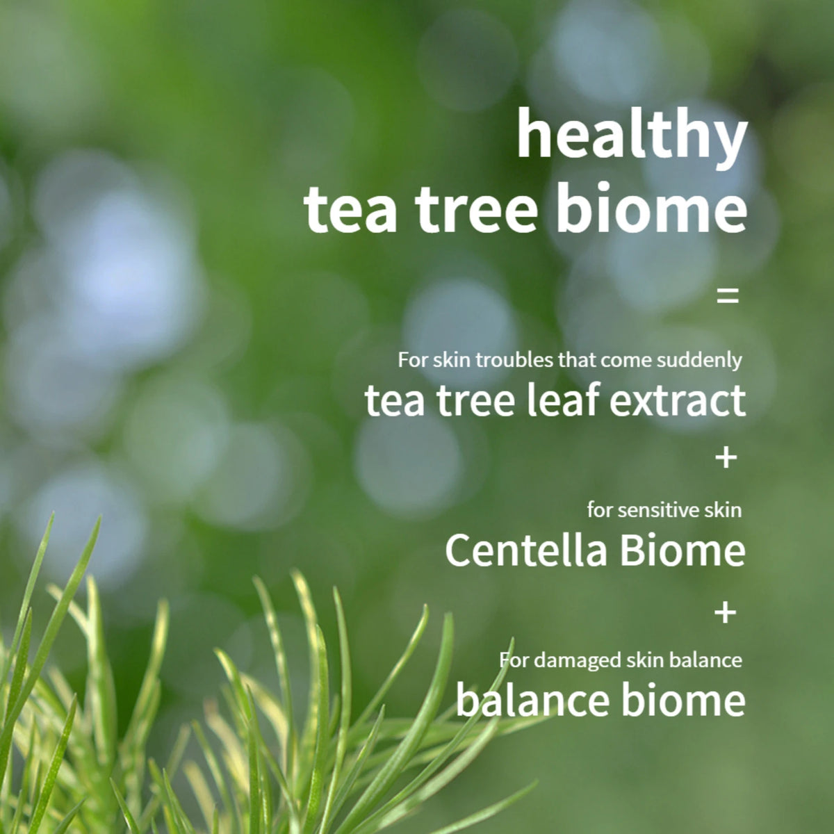 Tea Tree Biome Low pH Calming Cleanser